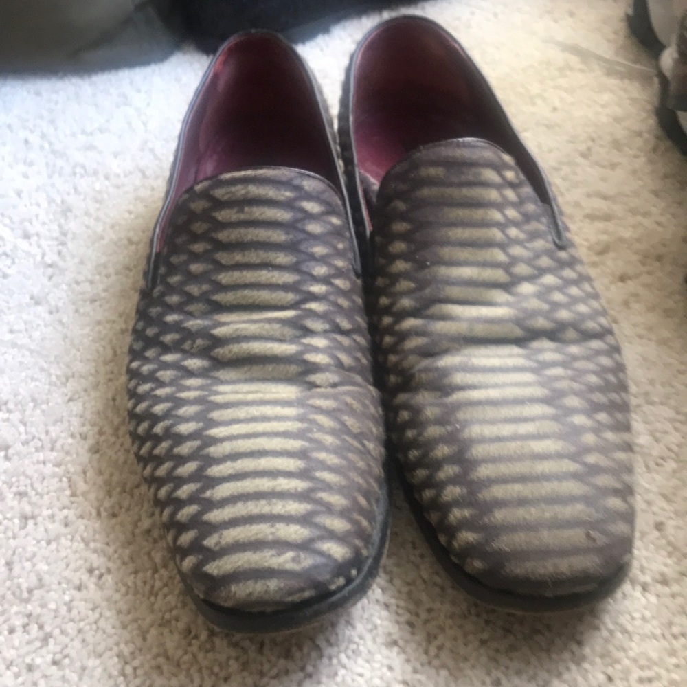 Roberto. Cavalll shoes